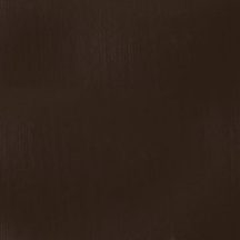   Akril festék Liquitex SB 59ml – 130 Átlátszó égetett umbra