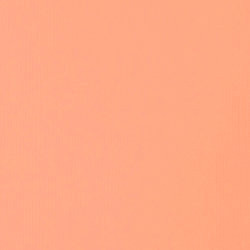 Akril festék Liquitex SB 59ml – 810 Világos portrérózsaszín