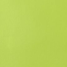   Akril festék Liquitex SB 59ml – 840 Ragyogó sárgászöld