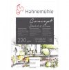 Vázlat tömb Hahnemühle Concept pad A4 220g