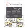 Vázlat tömb Hahnemühle Concept pad A3 220g
