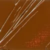 Oil paint Pébéo XL 200ml  21 raw sienna