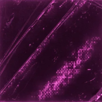Oil paint Pébéo XL 200ml  43 crimson