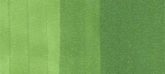 Copic classic marker – YG17 Grass zöld