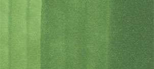 Copic klasszikus marker – YG67 Moss