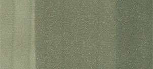 Copic sketch marker - BG93 green gray