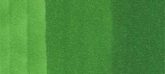 Copic sketch marker - G07 nile green
