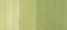 Copic sketch marker - G21 lime green
