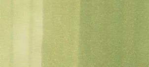 Copic sketch marker - G21 lime green