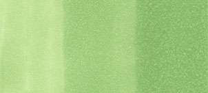 Copic sketch marker - YG13 chartreuse