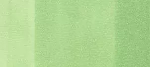 Copic sketch marker - YG23 new leaf