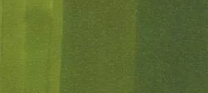 Copic Ink - G29 Fenyő Tree Green