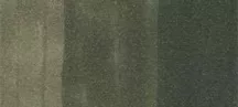 Copic Ink - BG96 Bush
