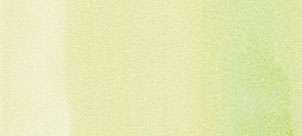 Copic Ink - G40 Dim zöld