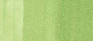 Copic Ink - G43 Pisztácia