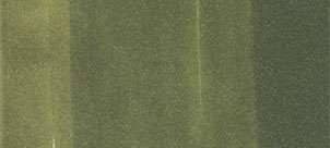 Copic Ink - YG99 Tengerészeti zöld