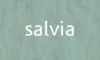 Tiziano művészpapír A4 160g - salvia Tiziano művészpapír A4 160g - salvia
