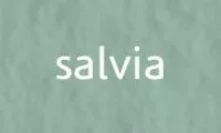 Tiziano művészpapír A4 160g - salvia