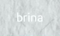 Tiziano művészpapír A4 160g - brina