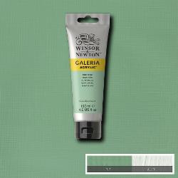 Akril paint Galeria 500ml – 435 pale olive