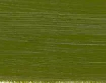 Olajfesték Norma Blue 35ml – 512 Olive green