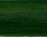 Olajfesték Norma Blue 35ml – 514 Sap green Olajfesték Norma Blue 35ml – 514 Sap green