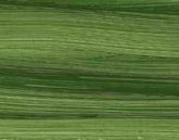 Norma Blue olajfesték 35ml – 519 Natural green earth Norma Blue olajfesték 35ml – 519 Natural green earth