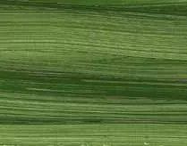 Norma Blue olajfesték 35ml – 519 Natural green earth