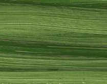 Norma Blue olajfesték 35ml – 519 Natural green earth