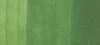 Copic Ciao marker – YG67 Moss
