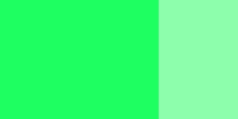 Gouache festék Schmincke 20ml  554 viridian hue