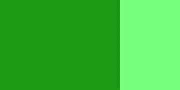 Gouache festék Schmincke 20ml – 561 fir green Gouache festék Schmincke 20ml – 561 fir green