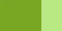 Gouache festék Schmincke 20ml  562 olive green