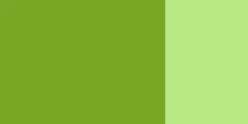 Gouache festék Schmincke 20ml – 562 olive green