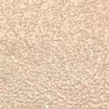 Bőr festék Pébéo Leather 45ml 19 Pink Beige Bőr festék Pébéo Leather 45ml 19 Pink Beige
