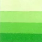 Grafikai szín Charbonnel 60ml – spring green