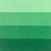 Grafikai festék Charbonnel 60ml – permanent green