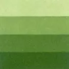 Grafikai szín Charbonnel 60ml – medium green