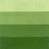 grafikus color Charbonnel 200ml – medium green