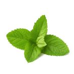 Gyertya illat 10ml – 09 Mint