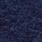Pigment Zlatá loď 100g  36000 True Indian Indigó (NB1)
