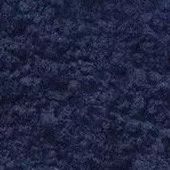 Pigment Zlatá loď 100g  36000 True Indian Indigó (NB1)