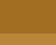 Lefranc oil paint 40ml 305 Golden Ocher Lefranc oil paint 40ml 305 Golden Ocher