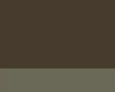 Lefranc oil paint 40ml  478 Nyers umbra