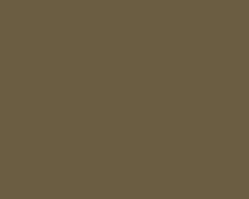 Lefranc oil paint 40ml 712 bronz Lefranc oil paint 40ml 712 bronz