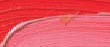 Academy olaj Schmincke 200ml – 304 vermilion red Academy olaj Schmincke 200ml – 304 vermilion red