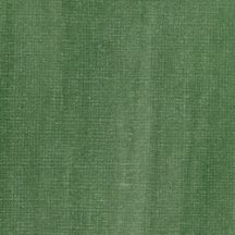 Akril ink Liquitex 30ml – 501 Green Muted Collection