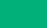 Color for leather and suede 50ml - olive