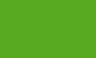Leather and suede color 50ml - green