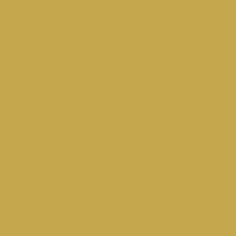   Akril marker Liquitex wide 15mm – Iridescent antique gold 237